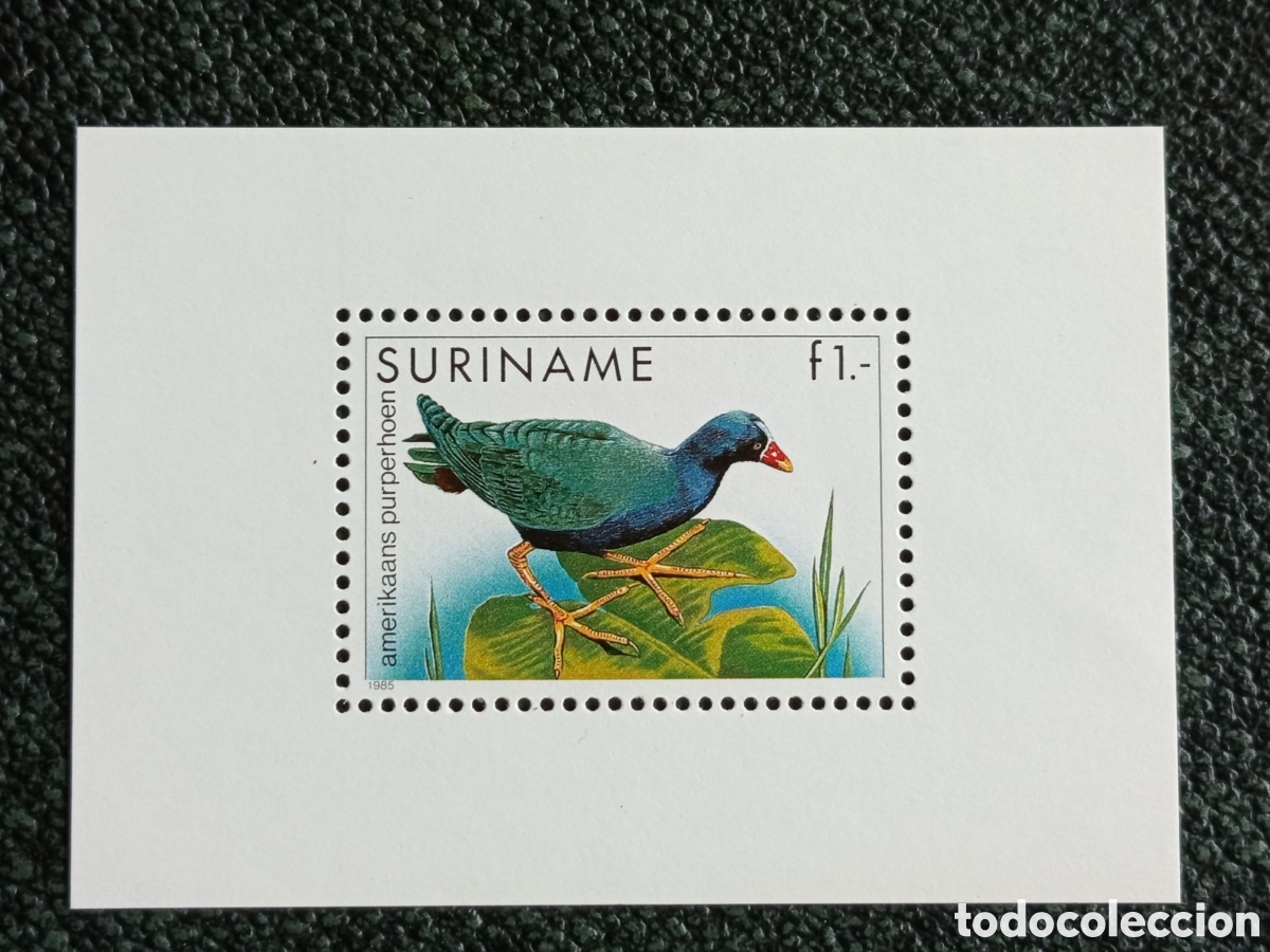 Sellos: Suriname 1985 Hojita Sello Ave Calamoncillo Americano MNH Scott 729 NVPH 993