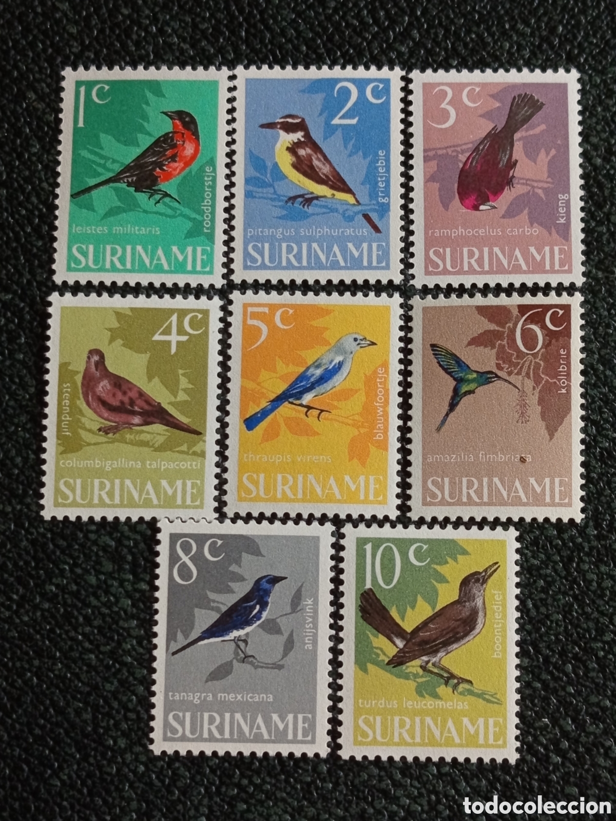 Sellos: Suriname 1960 Lote 8 Sellos Aves MNH Serie NVPH 380/387