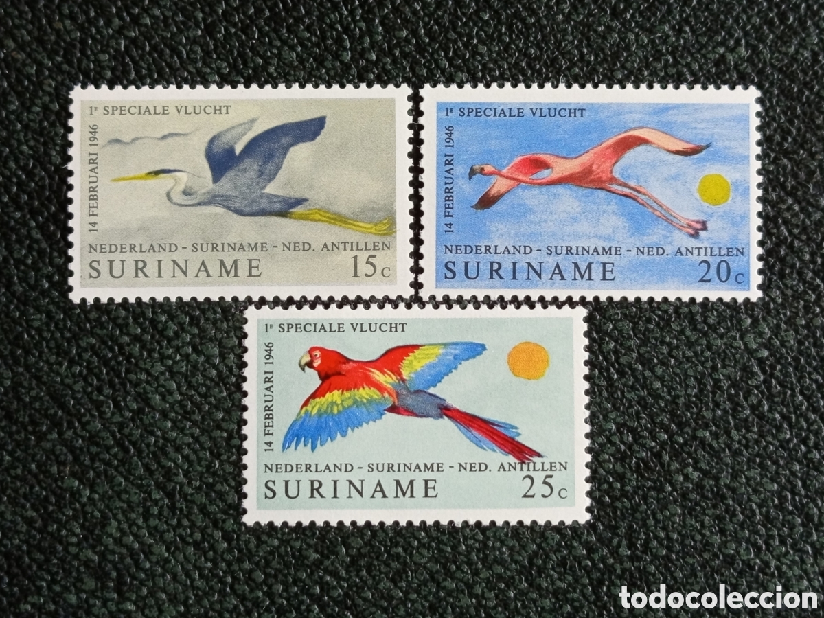 Sellos: Surinam 1946 Lote 3 Sellos 1er Vuelo Especial Correo A&eacute;reo Aves MNH NVPH 238/240