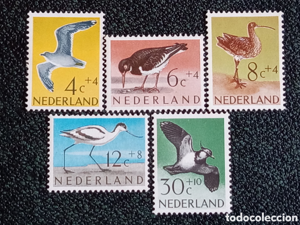 Stamps: Pa&iacute;ses Bajos 1957 Lote 5 Sellos Aves Costeras Ben&eacute;ficos MNH NVPH 681/685