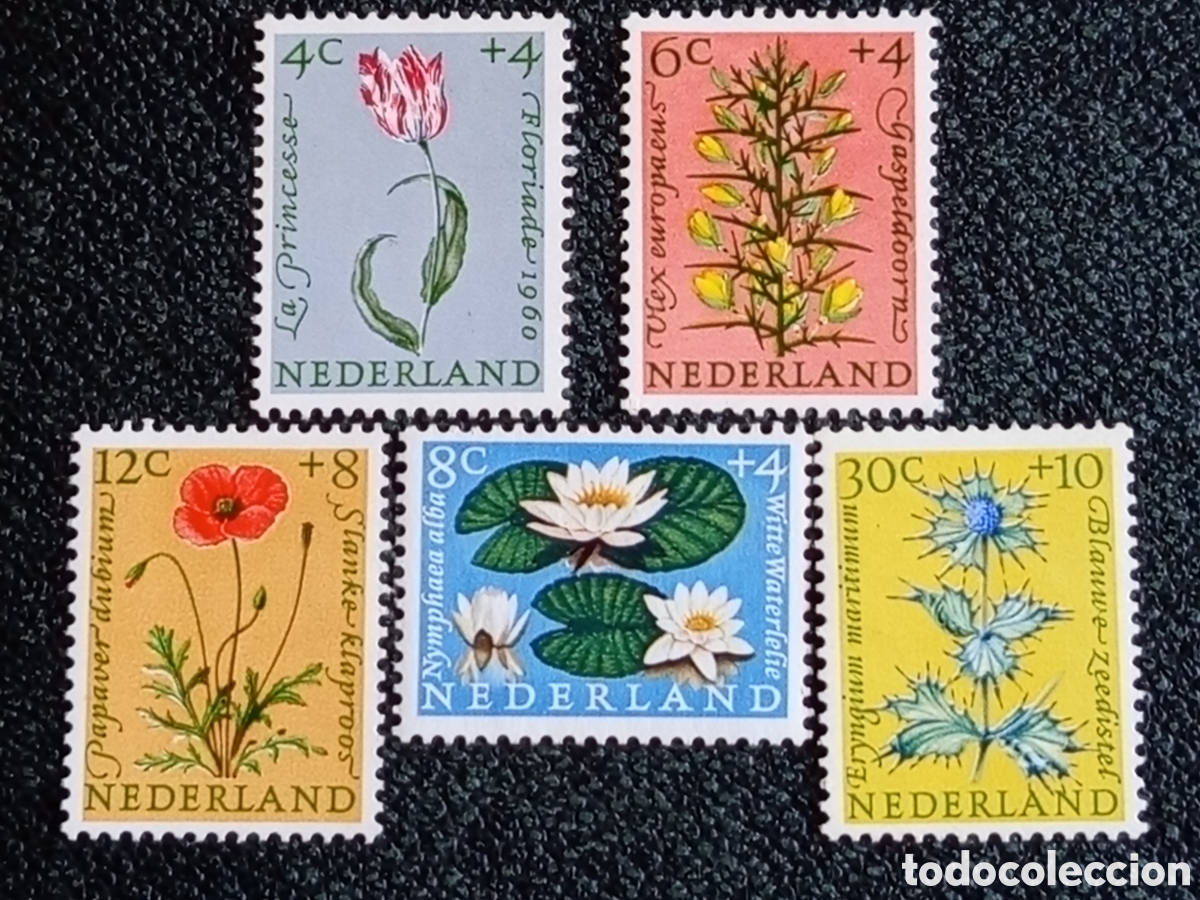 Sellos: Pa&iacute;ses Bajos 1960 Lote 5 Sellos Floriade Flores y Plantas MNH NVPH 728/732