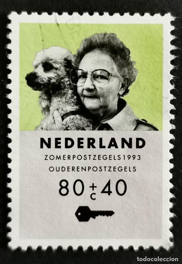 Sellos: Sello Pa&iacute;ses Bajos 1993, Personas mayores - Mujer anciana con perro, 80+40 c. Michel: NL 1476A