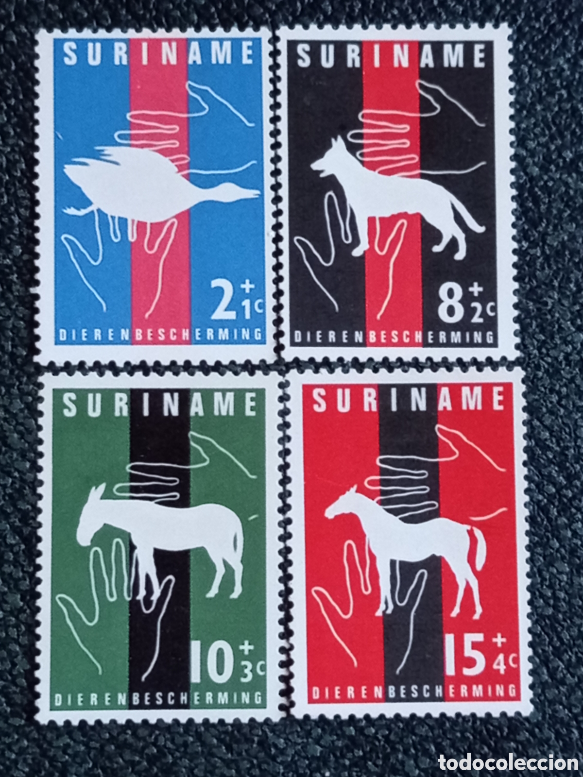 Sellos: Suriname 1962 Protecci&oacute;n Animal Serie Completa MH (Scott #B90-93 / NVPH 377-380)