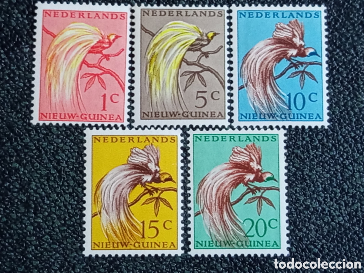 Sellos: Nieuw-Guinea 1954 Aves del Para&iacute;so Serie Completa MH (Scott #22-26 / NVPH #25-29)