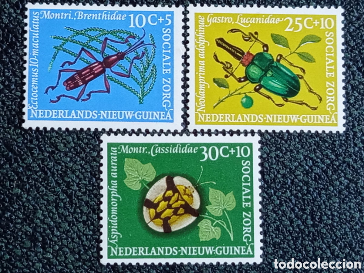 Sellos: Nieuw-Guinea 1961 Sociale Zorg Escarabajos MNH (Scott #B28-B30 / NVPH #70-72)