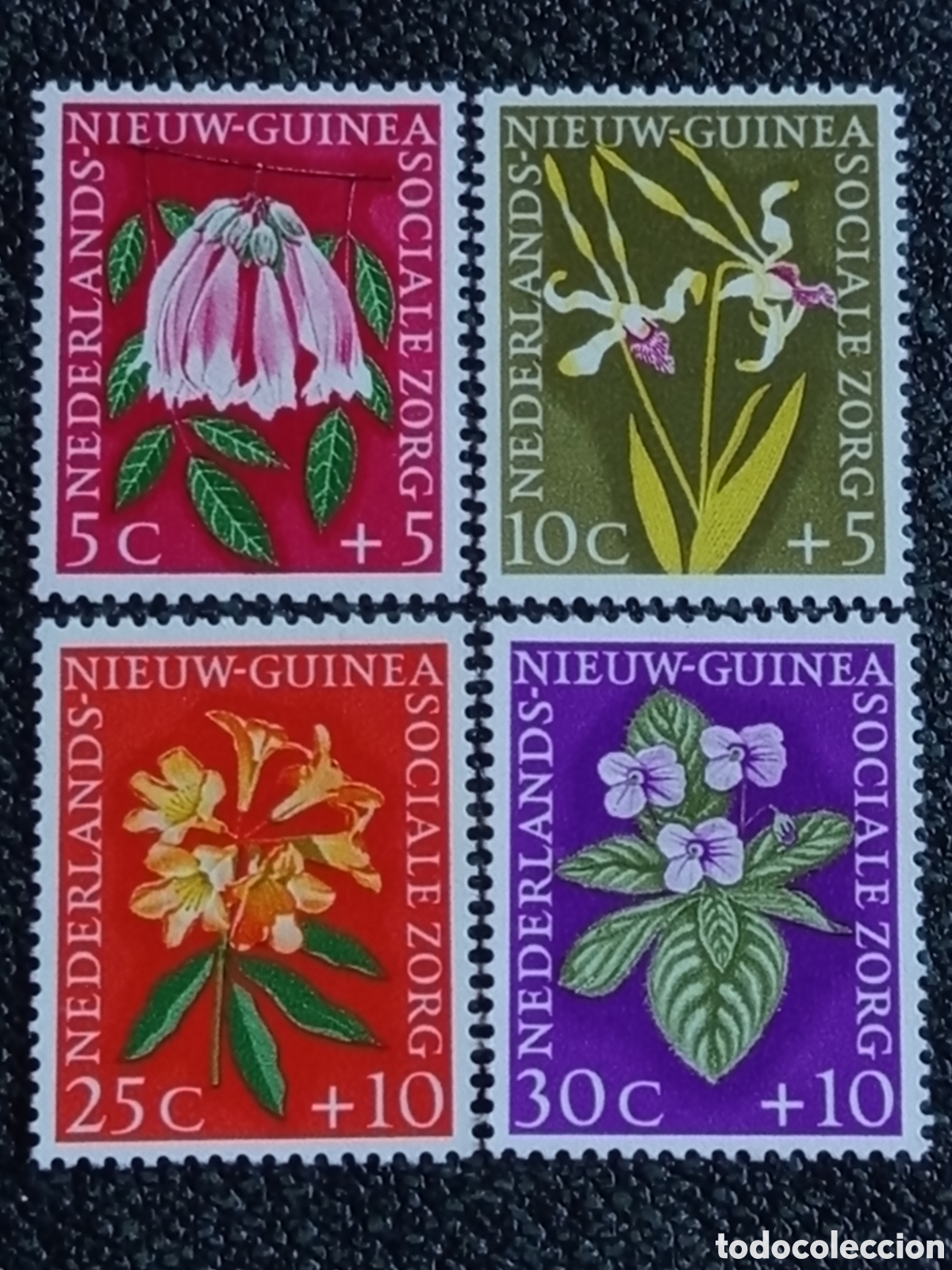 Sellos: Nieuw-Guinea 1959 Sociale Zorg Flores Serie Completa MH (Scott #B19-22/NVPH 57-60)