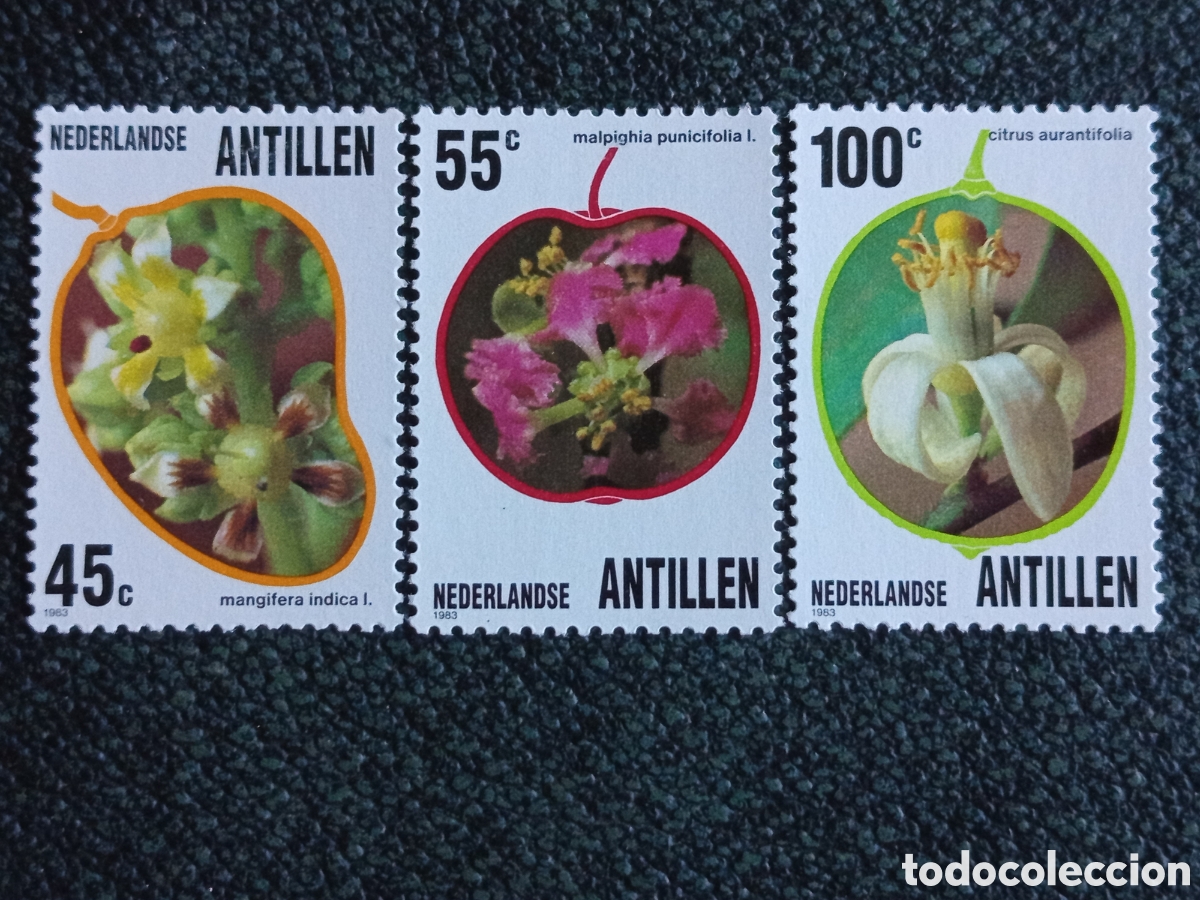 Sellos: Antillas Neerlandesas 1983 Flora Serie Completa MNH (Scott #496-498/NVPH 747-749)