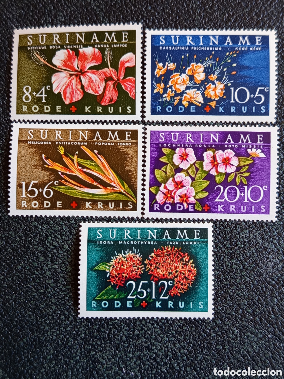 Sellos: Suriname 1962 Cruz Roja Flores Flora Serie MH Cat Scott #B85-B89