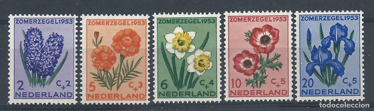 Sellos: Pays-Bas N&deg;590/94* (MH) 1953 - Fleurs divers