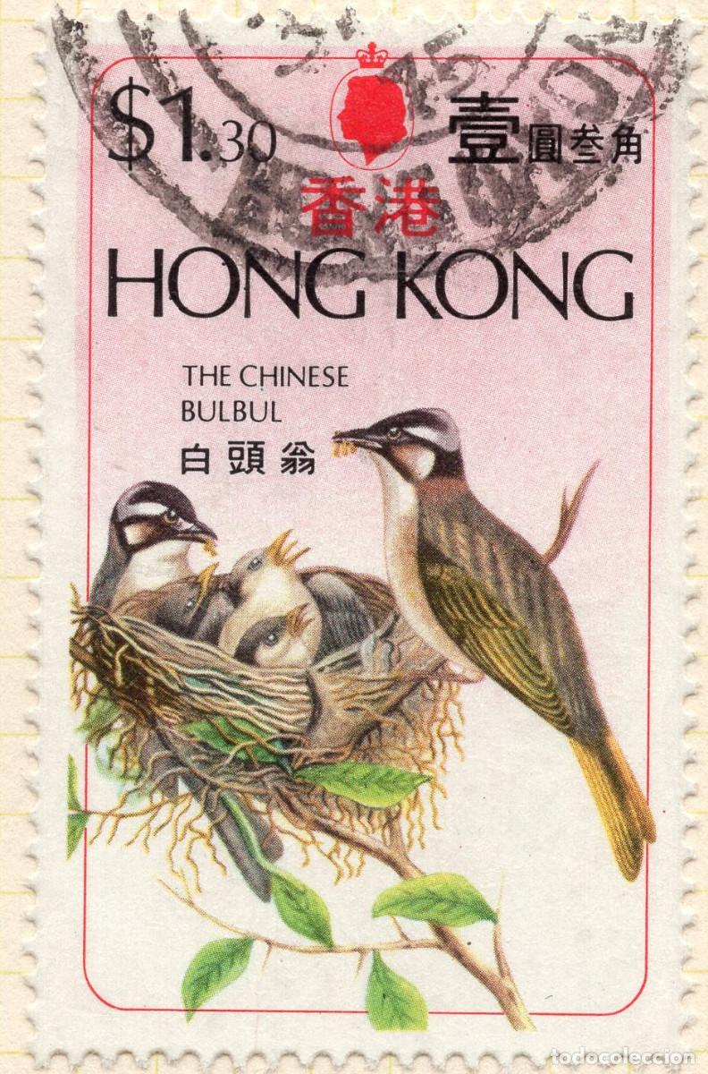 Sellos: HONG KONG 1975 STAMP MICHEL HK 314
