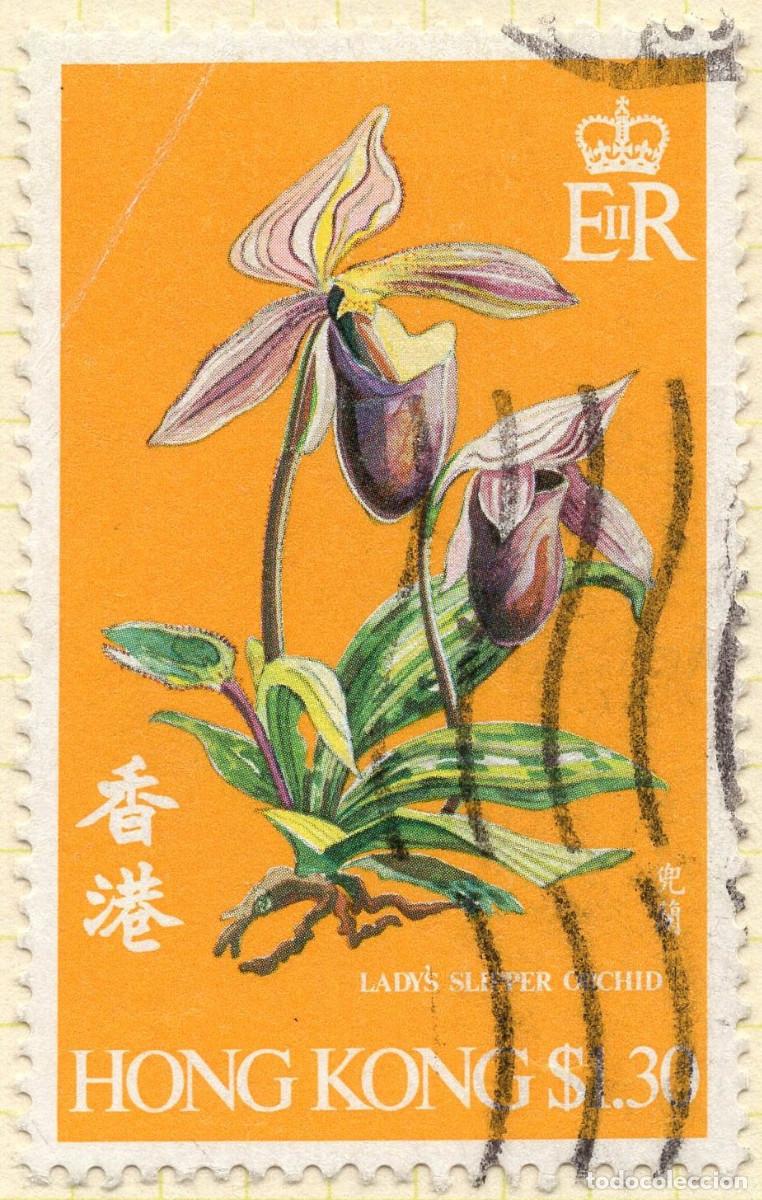 Sellos: HONG KONG 1977 STAMP MICHEL HK 342