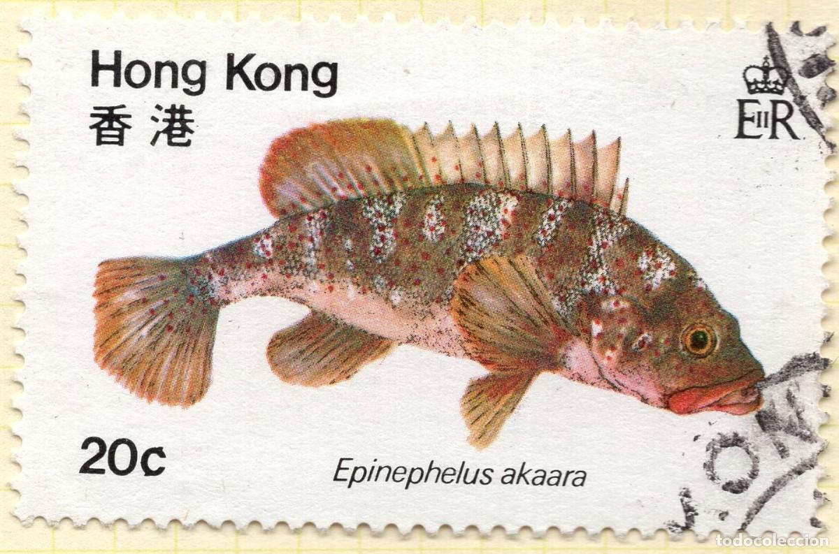 Sellos: HONG KONG 1980 STAMP MICHEL HK 368