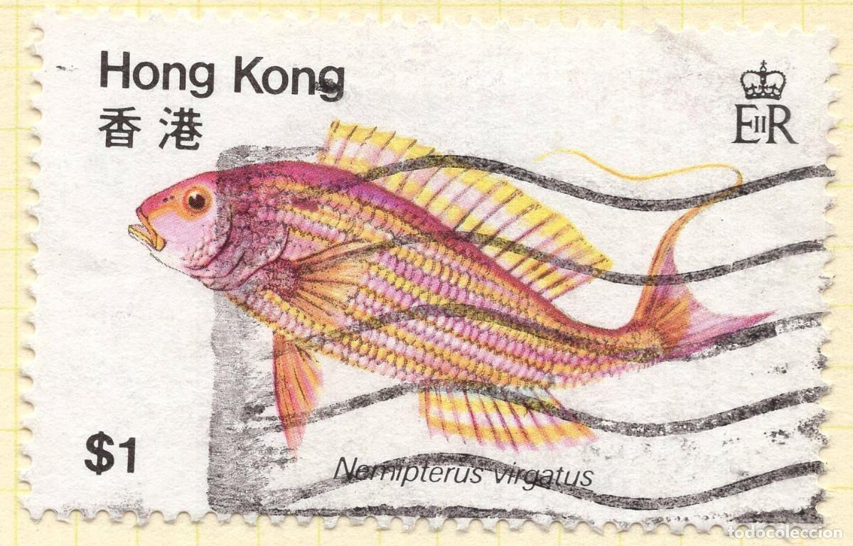 Sellos: HONG KONG 1980 STAMP MICHEL HK 369
