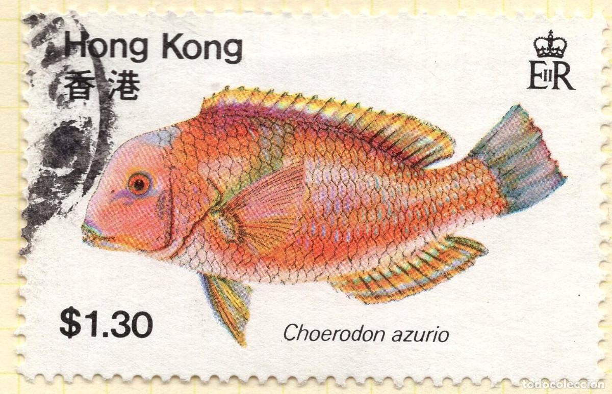 Sellos: HONG KONG 1980 STAMP MICHEL HK 370
