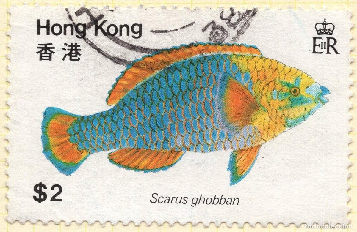 Sellos: HONG KONG 1980 STAMP MICHEL HK 371