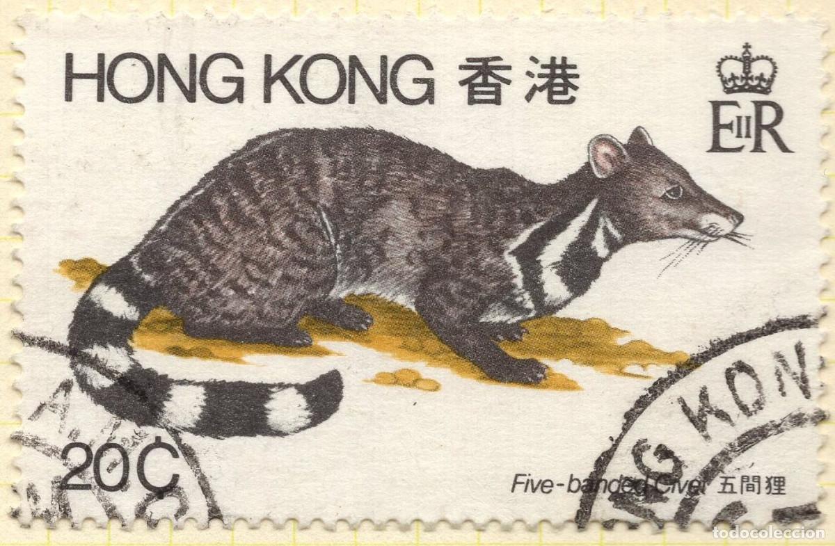 Sellos: HONG KONG 1982 STAMP MICHEL HK 384