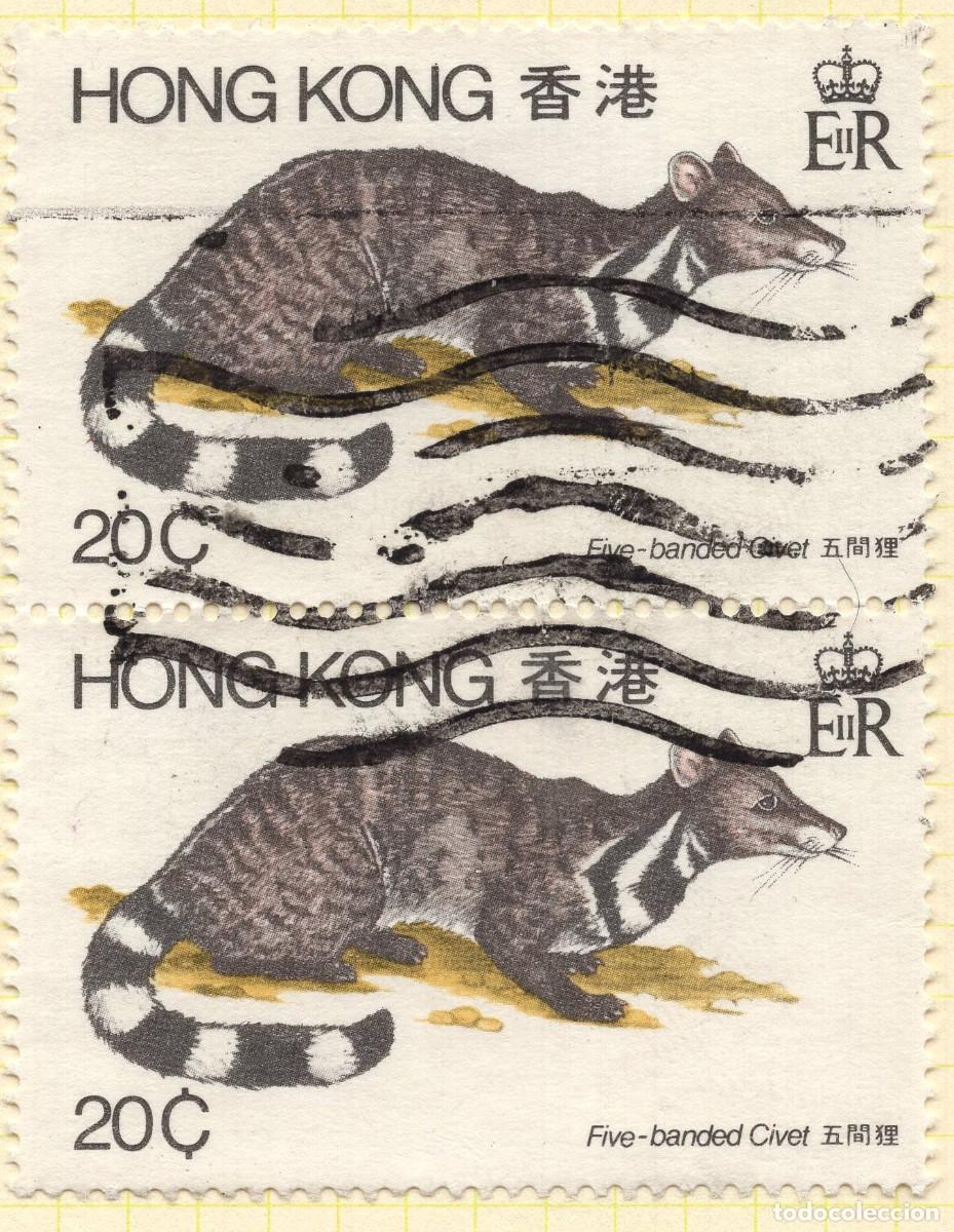 Sellos: HONG KONG 1982 STAMP MICHEL HK 384