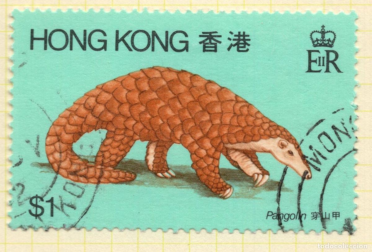 Sellos: HONG KONG 1982 STAMP MICHEL HK 385