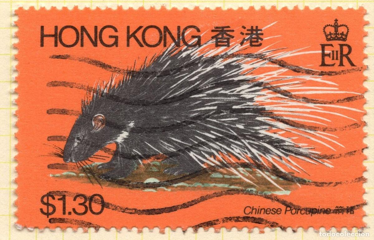 Sellos: HONG KONG 1982 STAMP MICHEL HK 386
