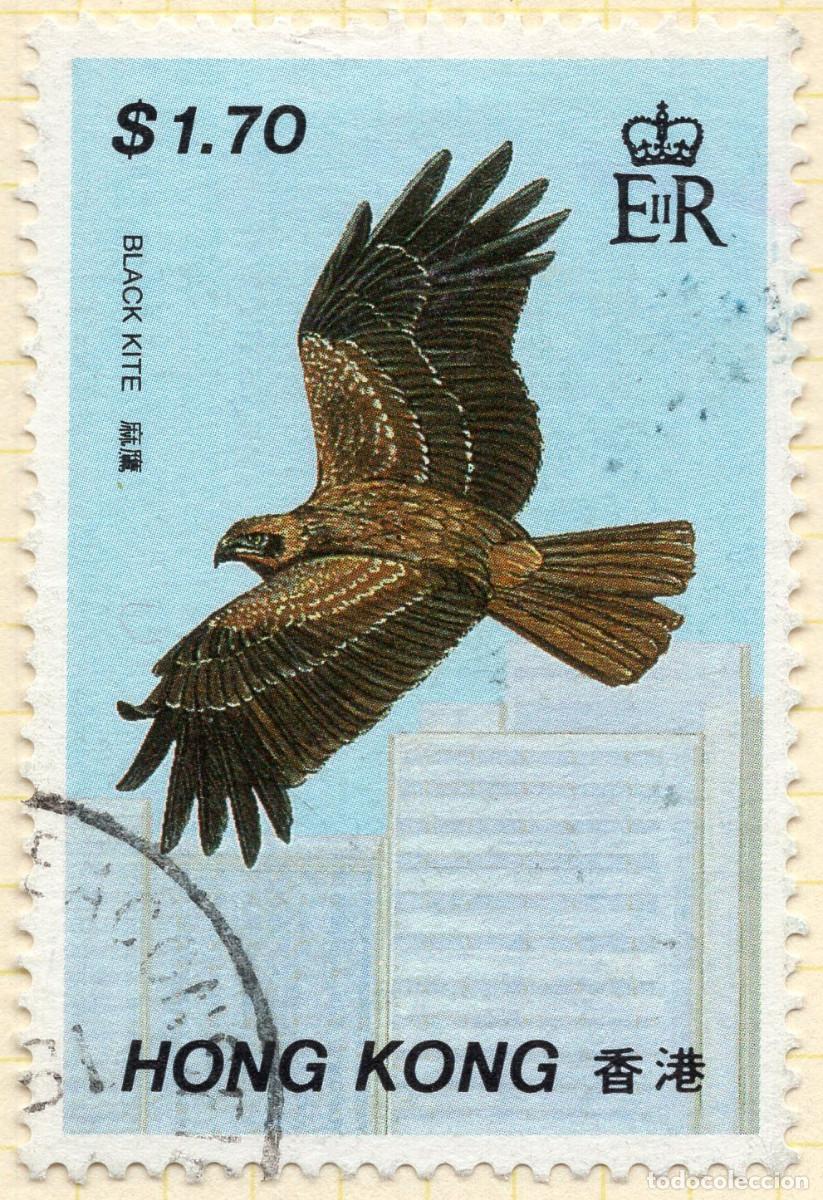 Sellos: HONG KONG 1988 STAMP MICHEL HK 538