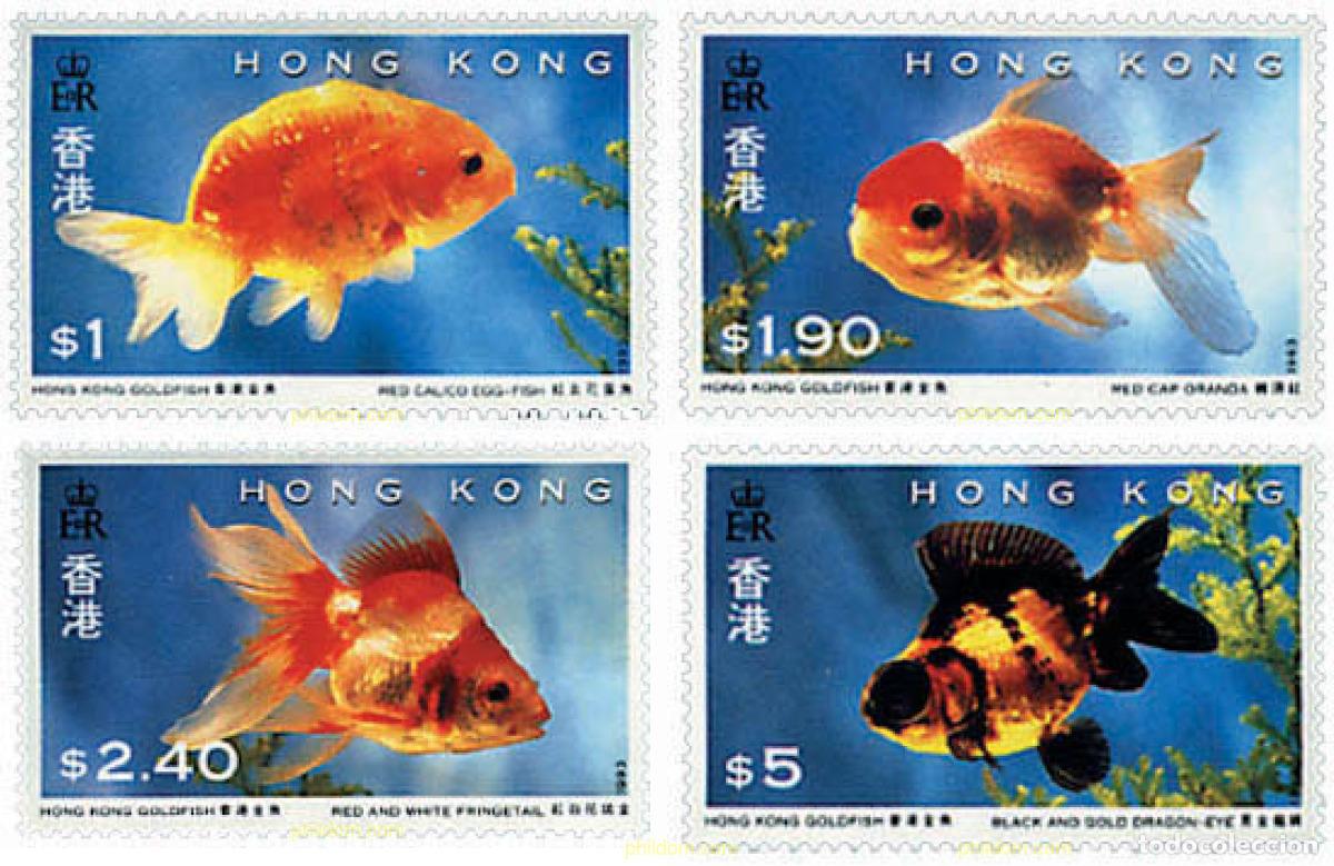 Sellos: 54776 MNH HONG KONG 1993 PECES ROJOS