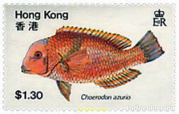 Sellos: 688813 MNH HONG KONG 1981 PECES