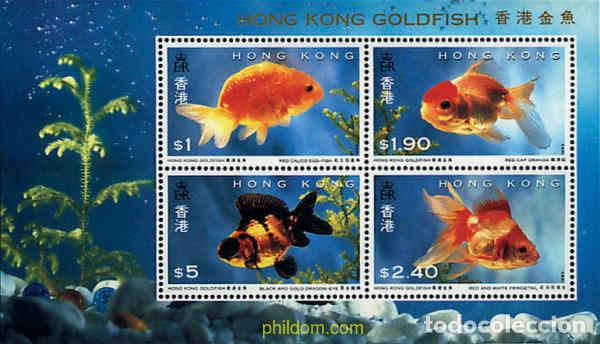 Sellos: 54778 MNH HONG KONG 1993 PECES ROJOS