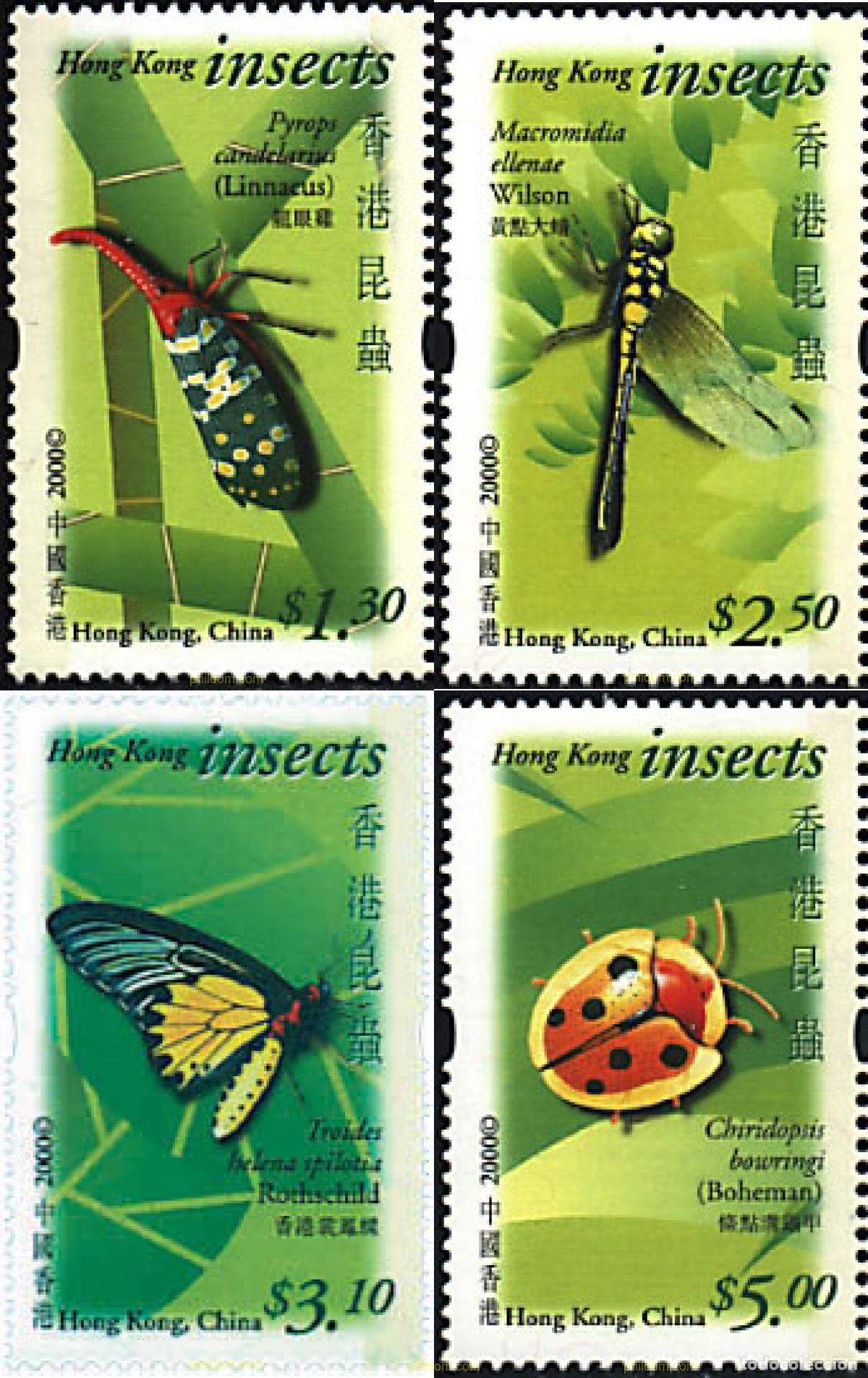 Sellos: 76057 MNH HONG KONG 2000 INSECTOS