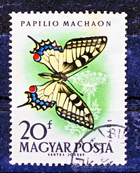 Sellos: HUNGRIA.- PAPILIO MACHAON.- (2) - Foto 1