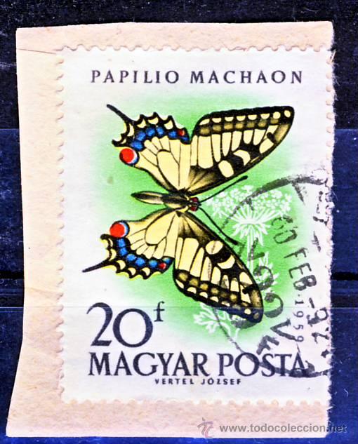 Sellos: HUNGRIA.- PAPILIO MACHAON.- (3) - Foto 1