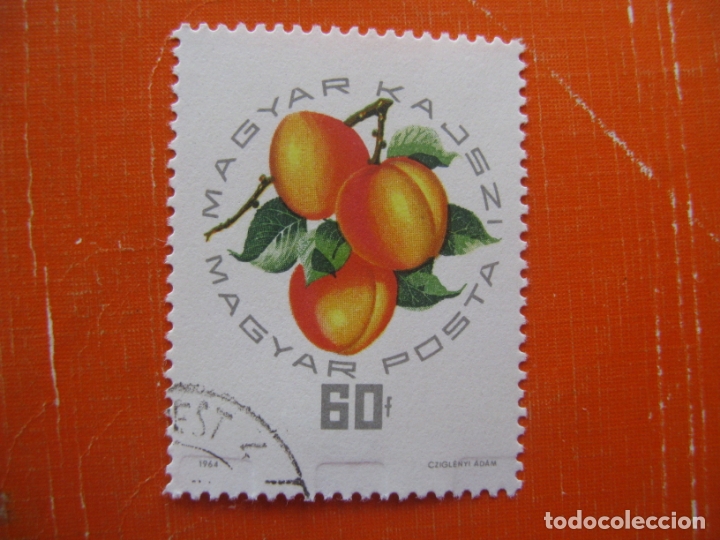 Sellos: hungria 1964, flora, Yvert 1663 - Foto 1