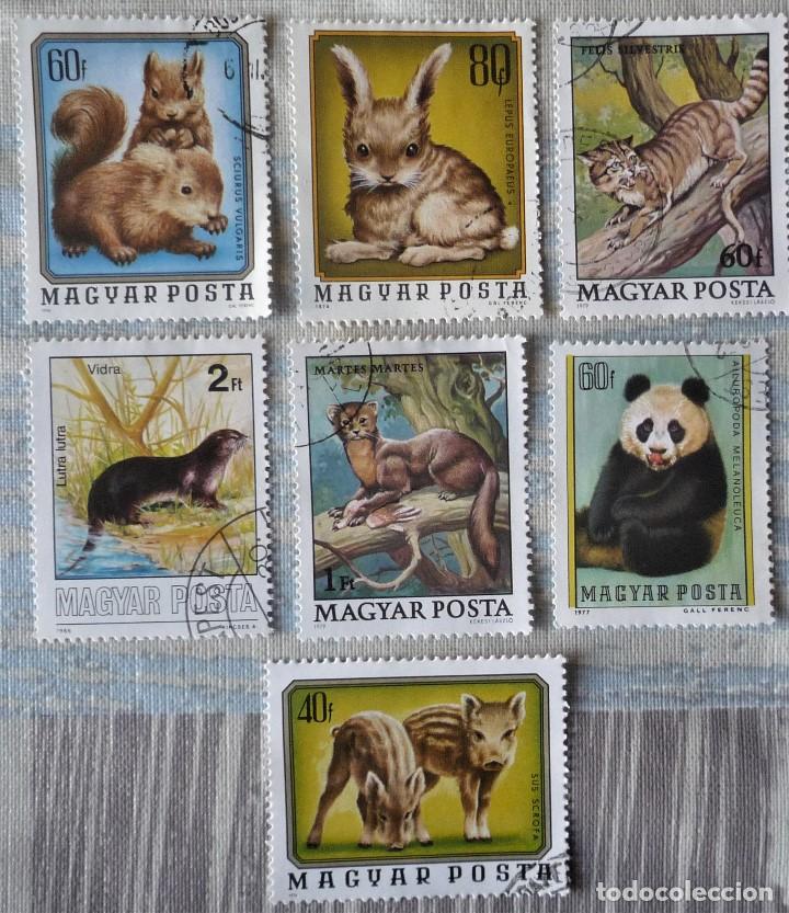 Sellos: 7 SELLOS DE HUNGRIA - Foto 1