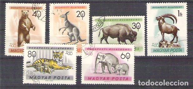 Sellos: Hungary 1961 Animals, used  E.146 - Foto 1