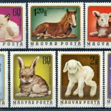 Sellos: HUNGRIA 1974 IVERT 2404/10 *** FAUNA - ANIMALES DOMÉSTICOS