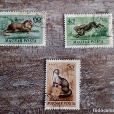 Sellos: SELLO USADO DE HUNGRIA 1953.FAUNA ANIMALES, ANIMALES SALVAJES. Lote 281066518