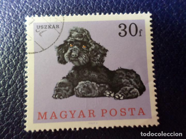 Sellos: *hungria, 1967, perros, Yvert 1903 - Foto 1