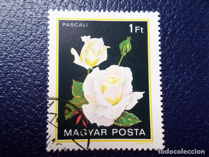 Sellos: *hungria, 1982, rosas, Yvert 2806 - Foto 1