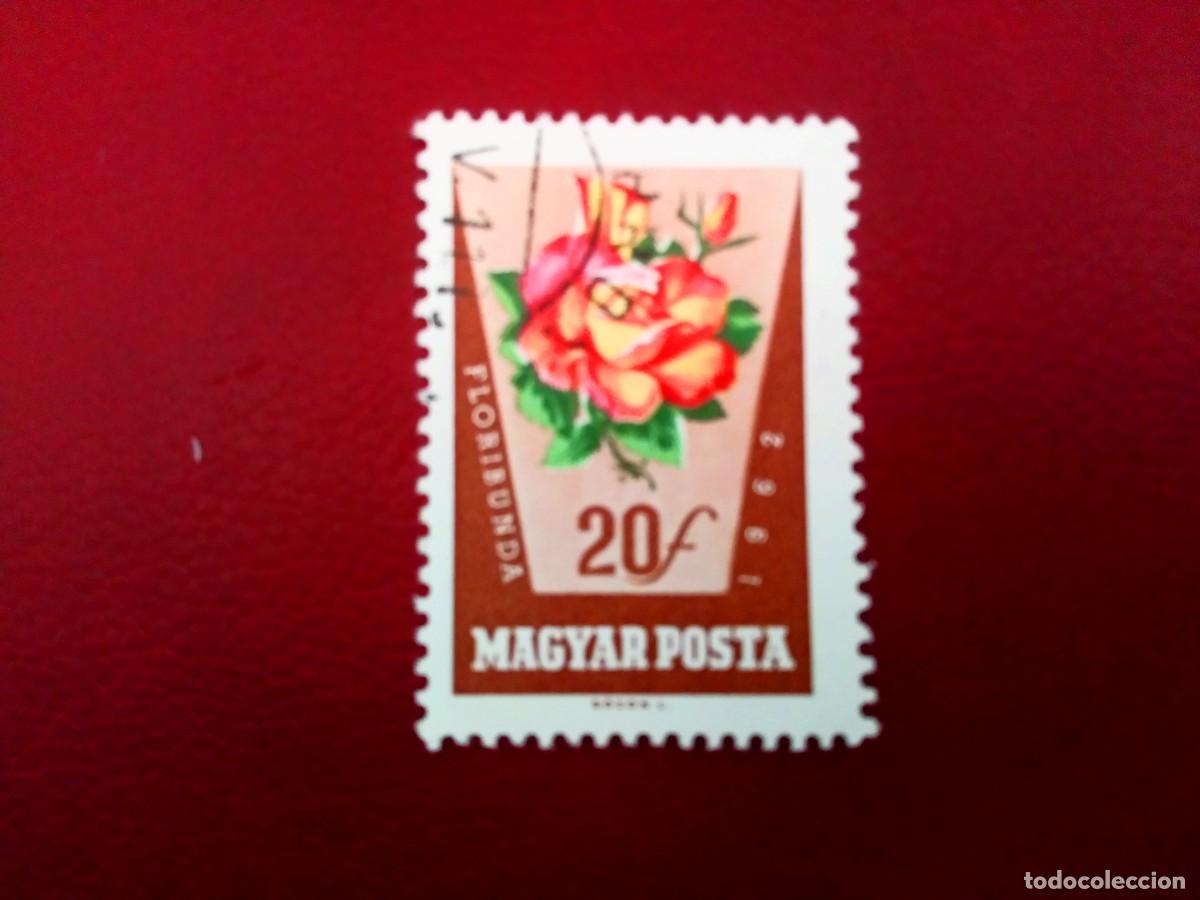Sellos: HUNGR&Iacute;A 1962, ROSAS - Foto 1