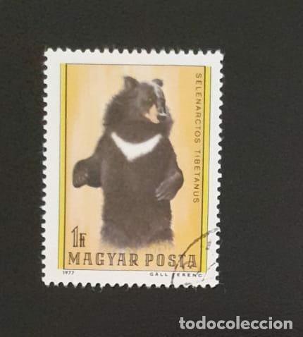 Sellos: SL) HUNGARY BEAR USED - Foto 1