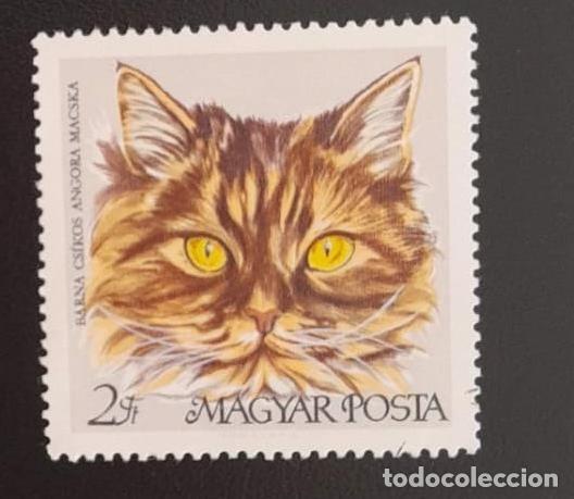 Sellos: SL) HUNGARY CAT MNH - Foto 1