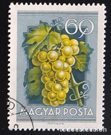 Sellos: SD)1968, HUNGARY, GRAPES, USED - Foto 1