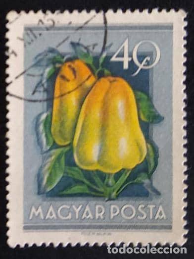 Sellos: SD)HUNGARY. FRUIT. CASHEW. USED. - Foto 1