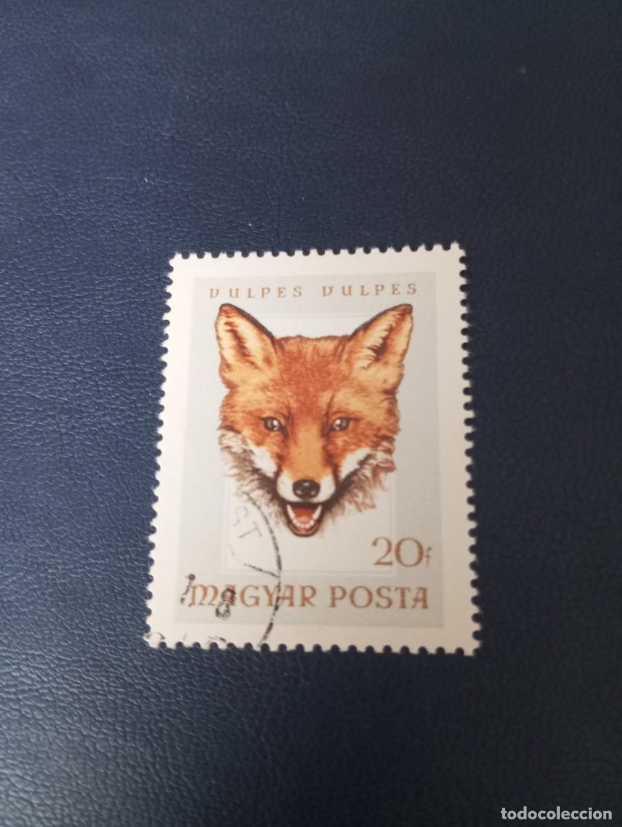 Sellos: HUNGR&Iacute;A, 1966, ZORRO ROJO - Foto 1