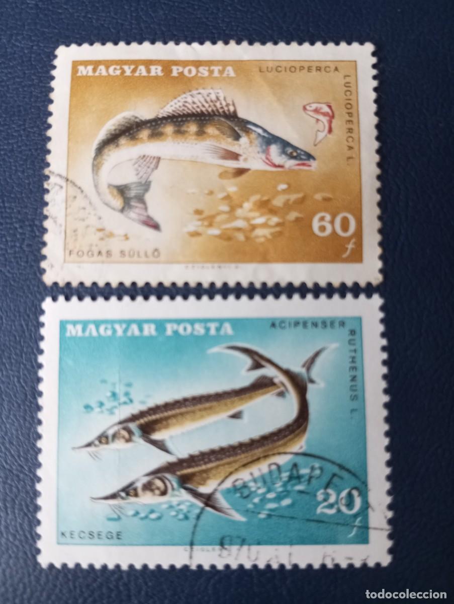 Sellos: HUNGR&Iacute;A, 1967, PECES - Foto 1