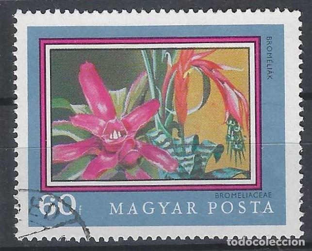 Sellos: HUNGR&Iacute;A 1971 - FLORA - USADO - Foto 1