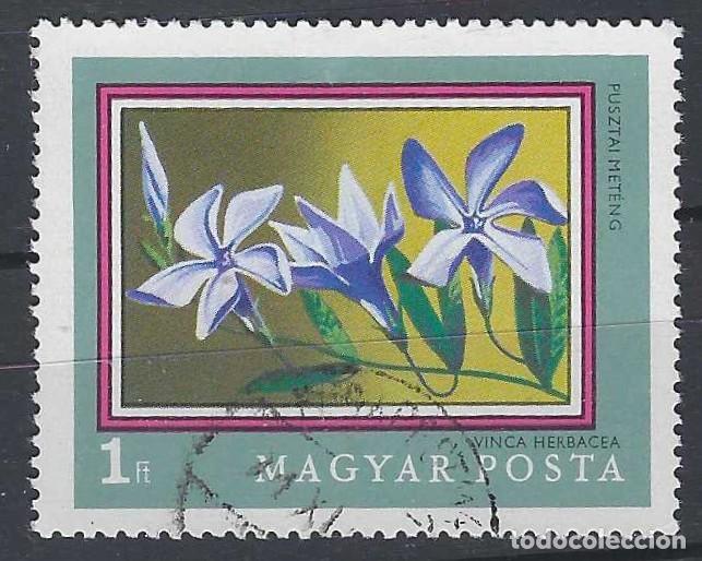 Sellos: HUNGR&Iacute;A 1971 - FLORA - USADO - Foto 1