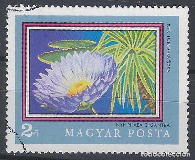 Sellos: HUNGR&Iacute;A 1971 - FLORA - USADO - Foto 1