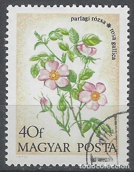 Sellos: HUNGR&Iacute;A 1973 - FLORA - USADO - Foto 1