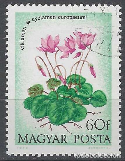 Sellos: HUNGR&Iacute;A 1973 - FLORA - USADO - Foto 1