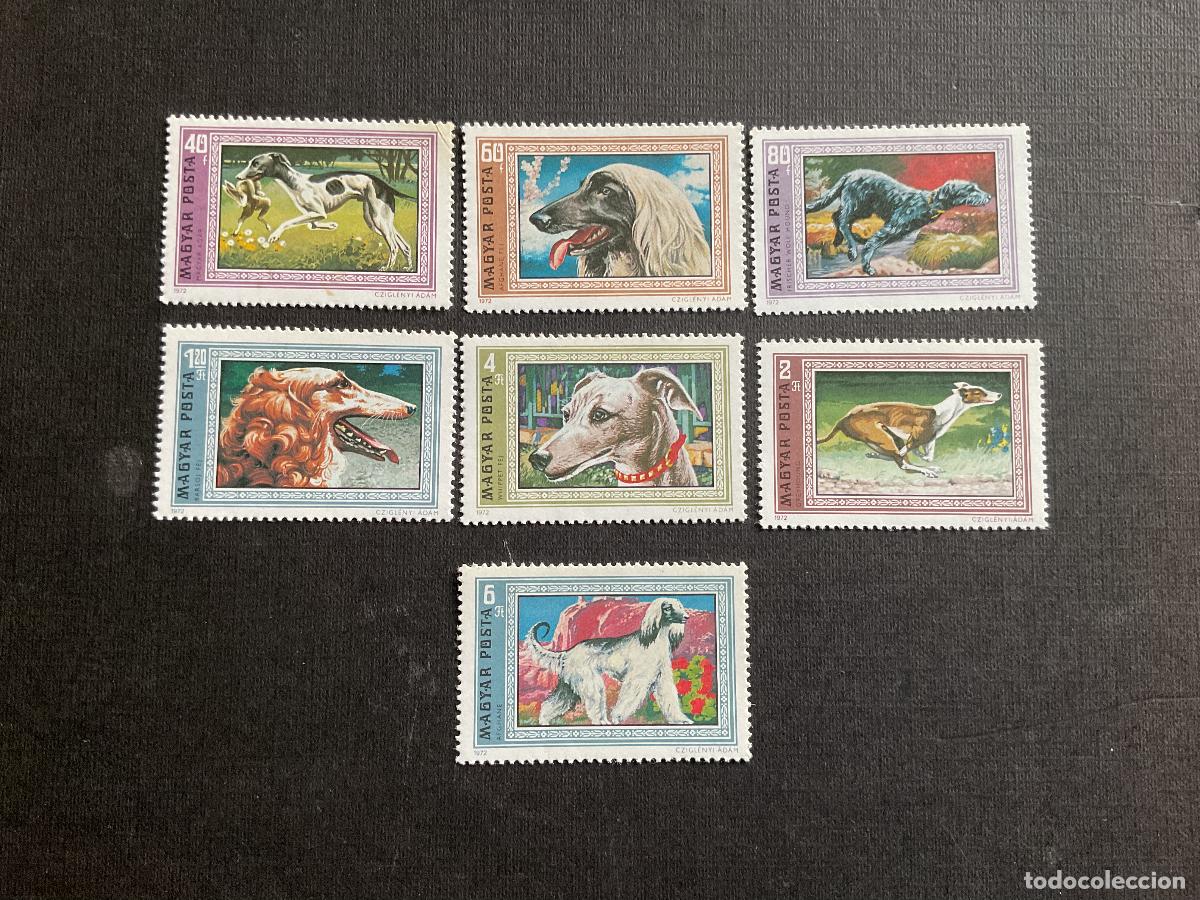 Sellos: HUNGRIA N&ordm; YVERT 2221/7*** A&Ntilde;O 1972. FAUNA. RAZAS DE PERROS